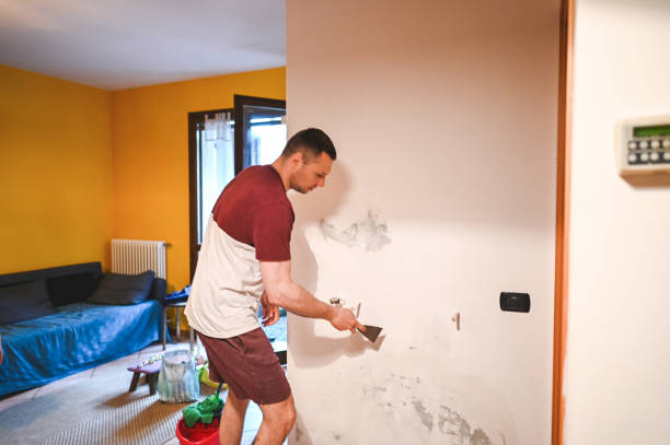 Best Mold Testing and Inspection Services in Montgomery, IN